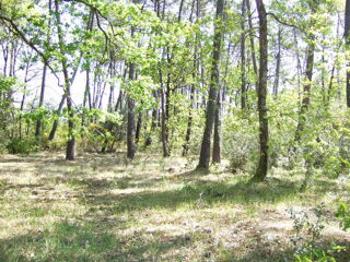  Terrain � vendre 1200 m�