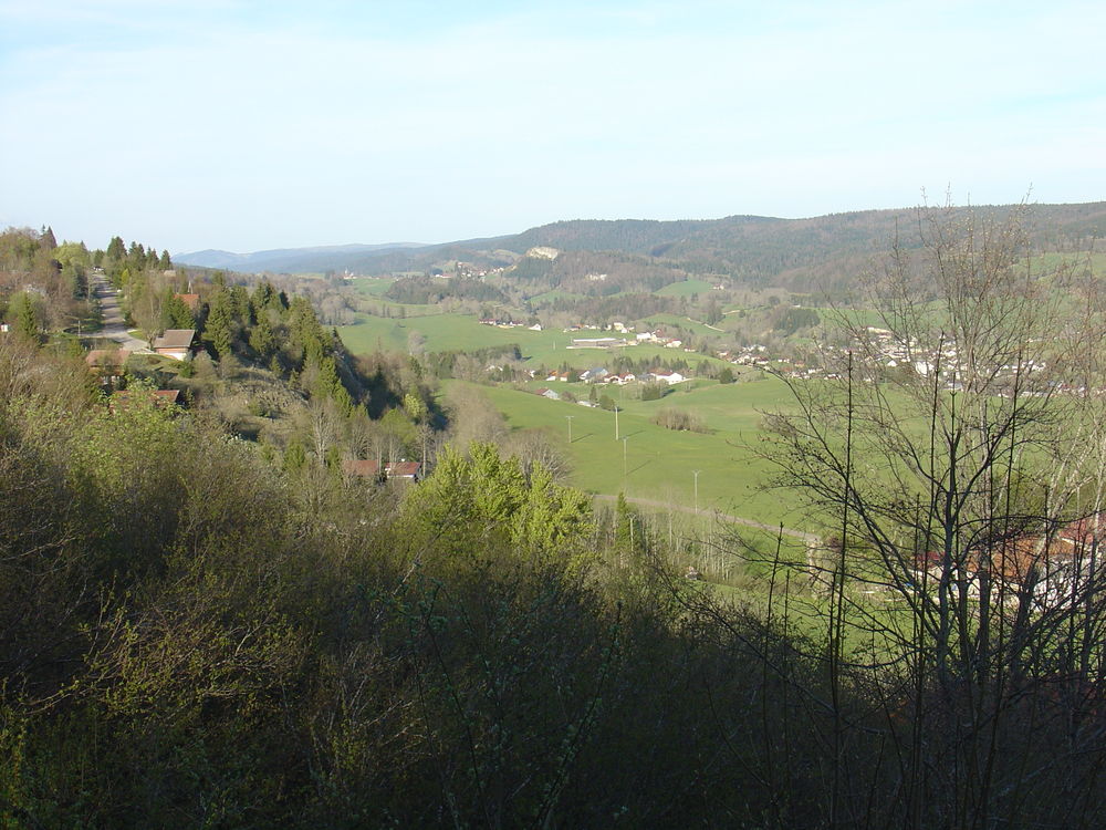 Vente Chalet Chalet de 2011 en madrier de 120 Foncine-le-haut