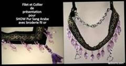   Ensemble Filet et Collier de présentation pour PSA 