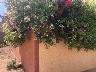  Maison � vendre 15 + pi�ces 330 m� Ait amira, maroc