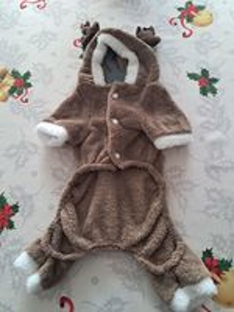   Manteau chien Renne noel pyjama fete caniche jack russel 