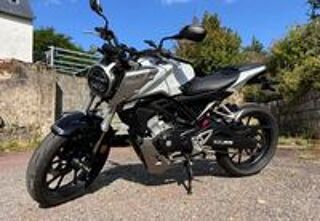 HONDA 2019 occasion 53340 Saulges