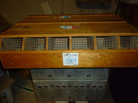 transport d oiseaux 0 41700 Le controis-en-sologne