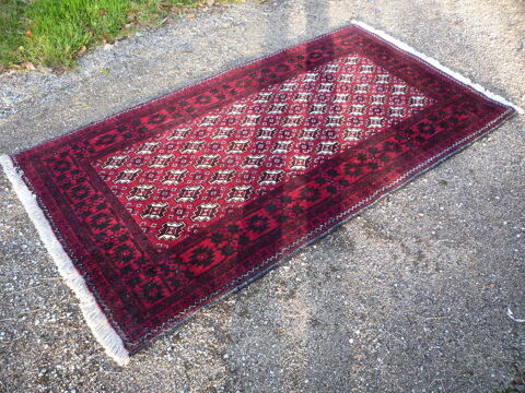Tapis oriental (L)
125 Castres (81)
