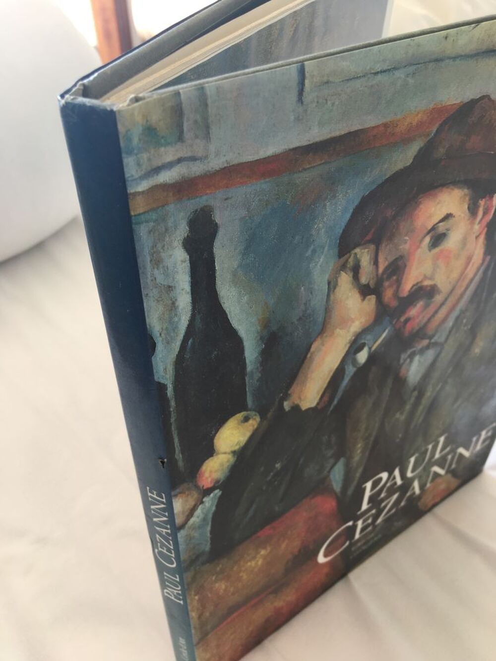 Lot de 8 livres d'art sur la Peinture (Lautrec, Renoir,...) Livres et BD