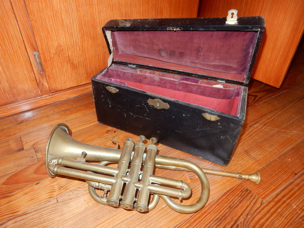 Achetez à pistons occasion, annonce vente à Taillant (17