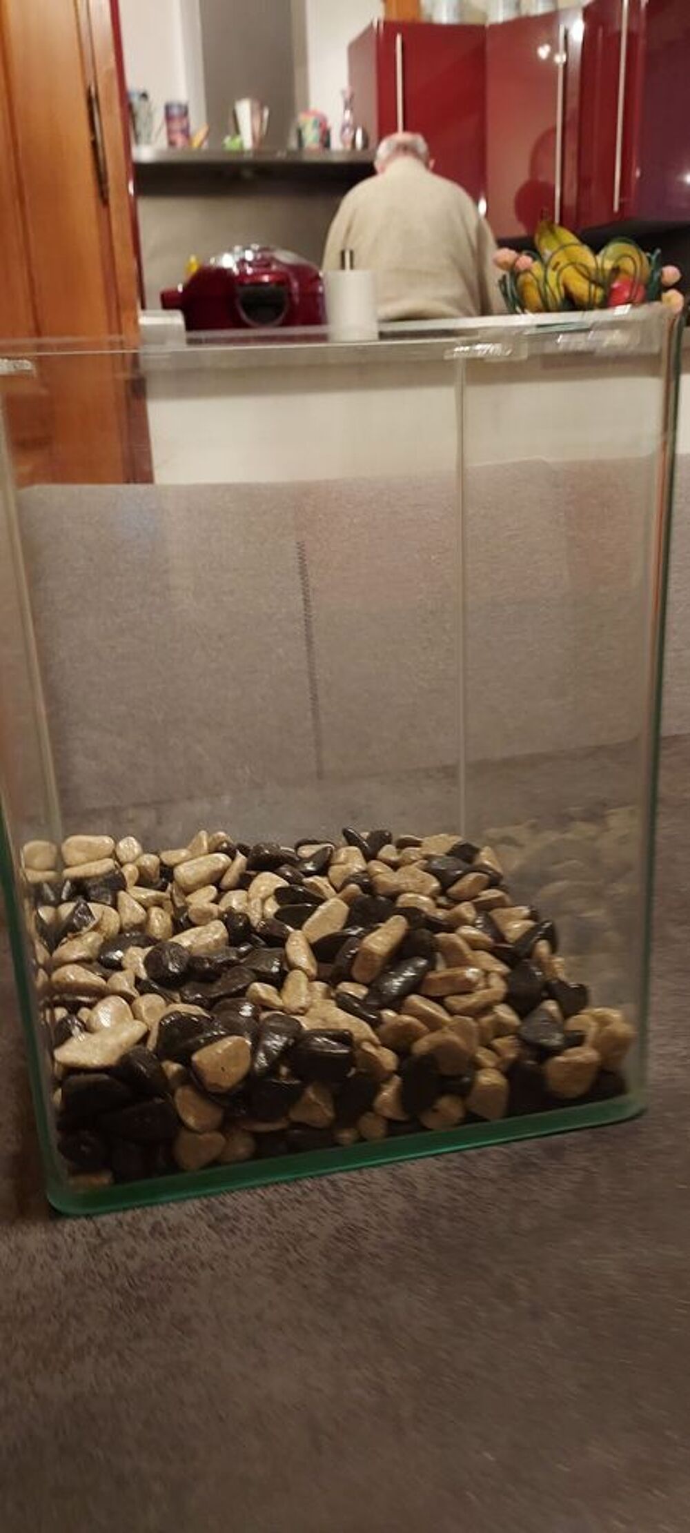 Joli aquarium Décoration