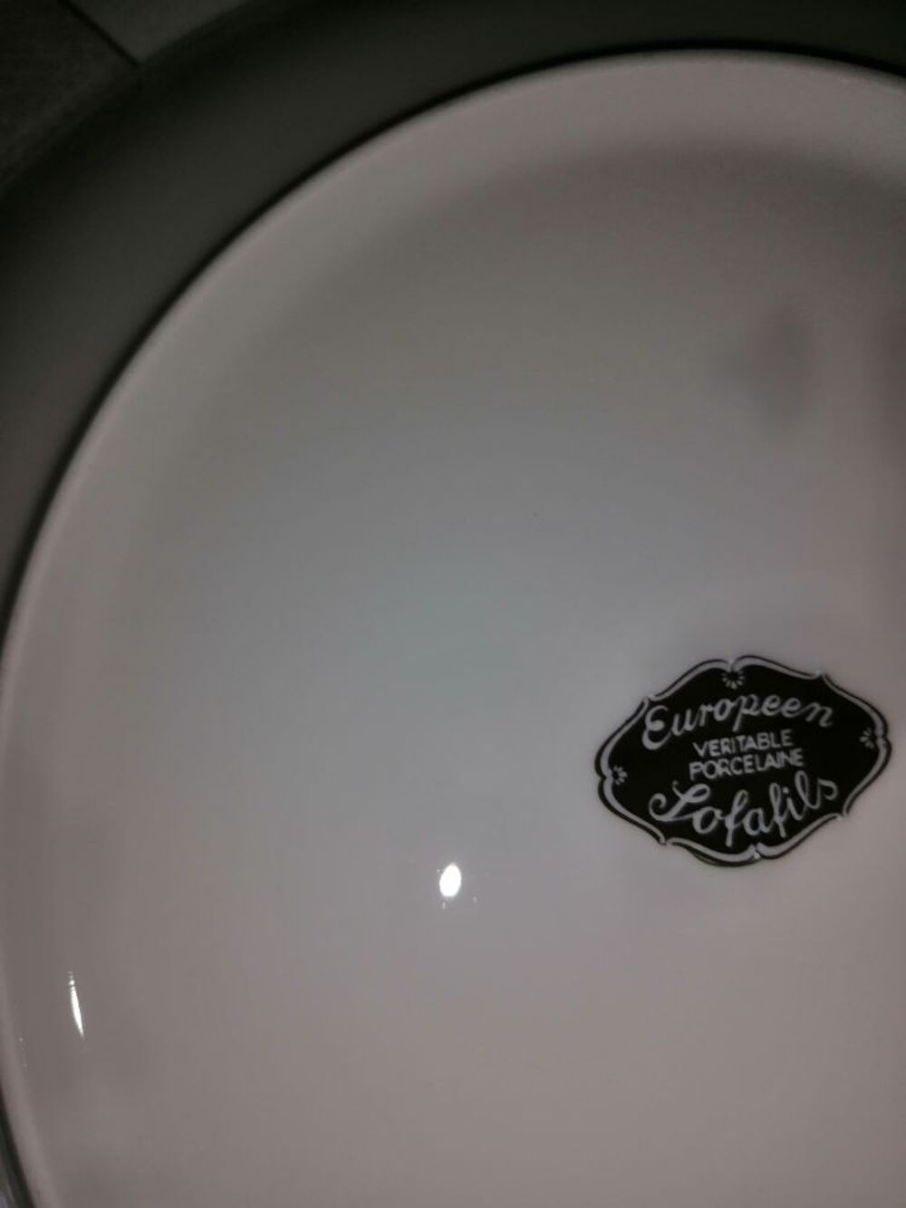 Service de table porcelaine SOFAFILS 48 pi&egrave;ces Décoration