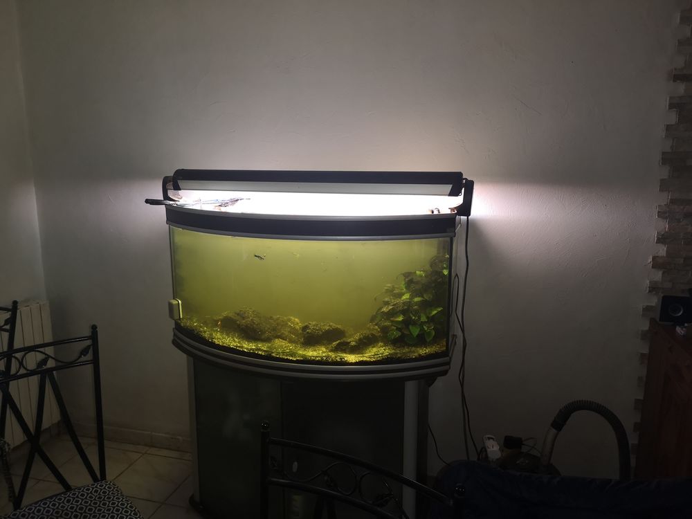 aquarium 250 l Meubles