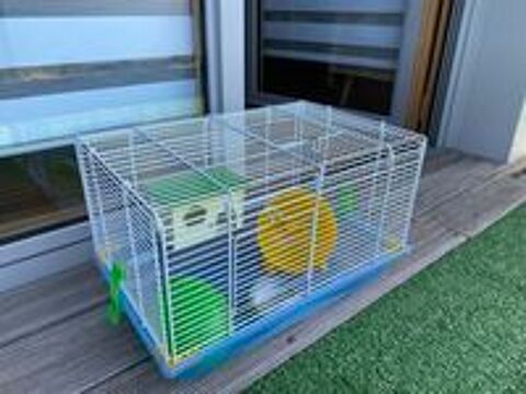   Cage hamster 
