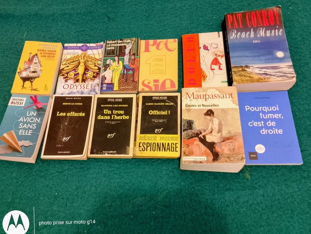 Livres, romans, divers, vendus en lots de 5, au choix Livres et BD