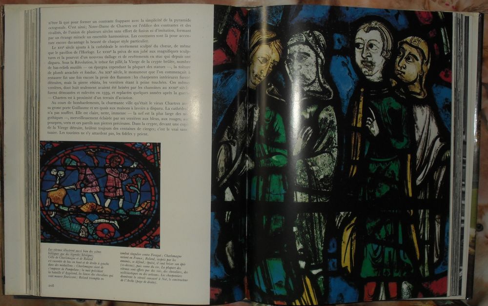 Cath&eacute;drales de France: l'Epop&eacute;e des Cath&eacute;drales. Livres et BD