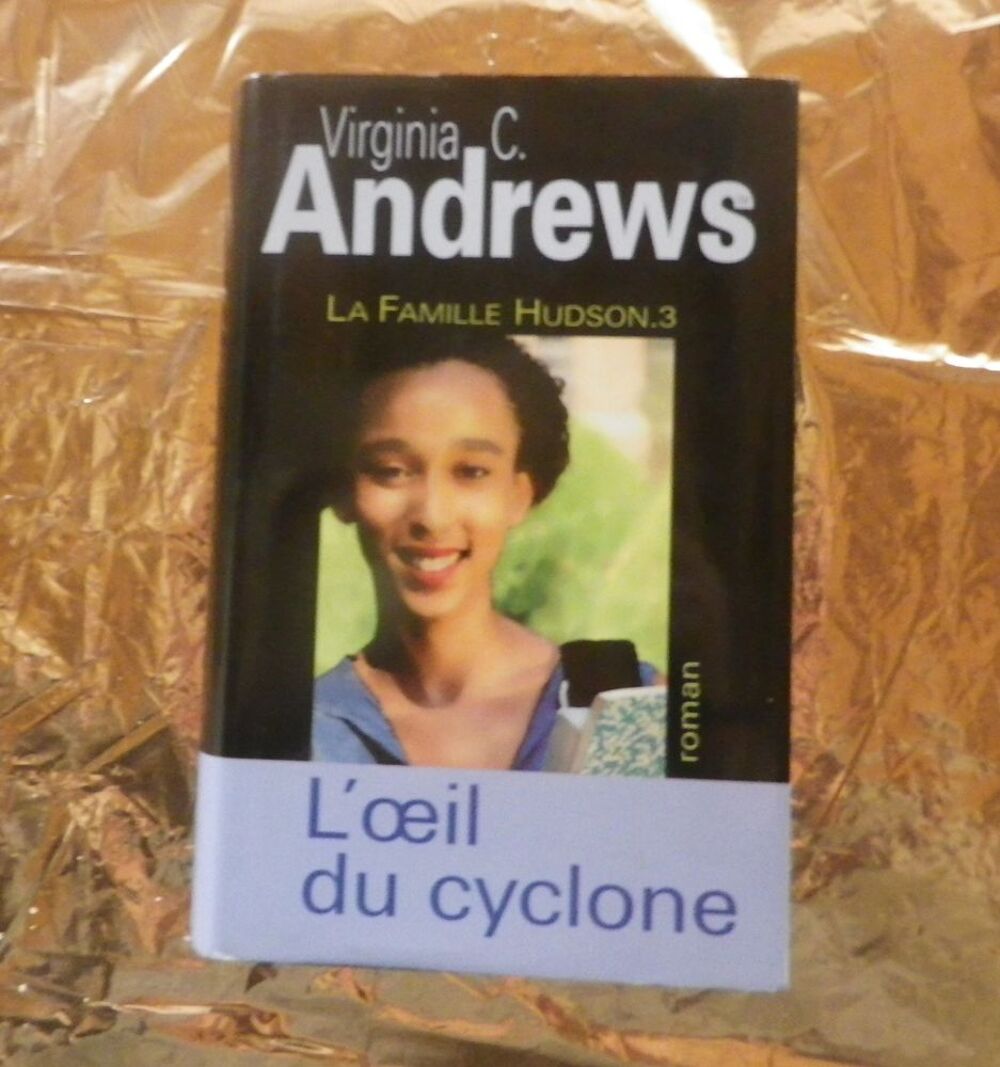 L'OEIL DU CYCLONE T3 LA FAMILLE HUDSON de Virginia C ANDREWS Livres et BD