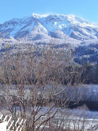 Location  Appartement 