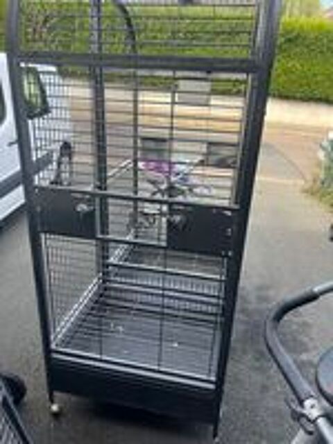   Cage perroquet  