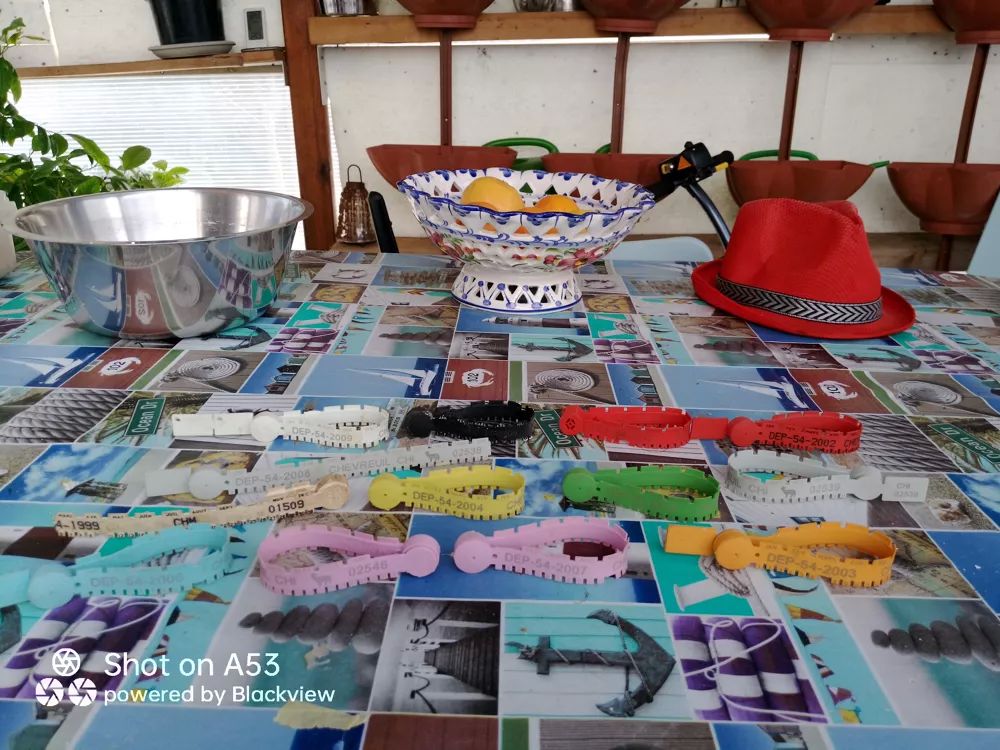 Lot de cartouches et balles pour carabine ET DIVERS CHASSE Sports