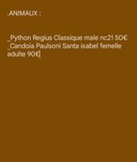  Serpent python et boa  