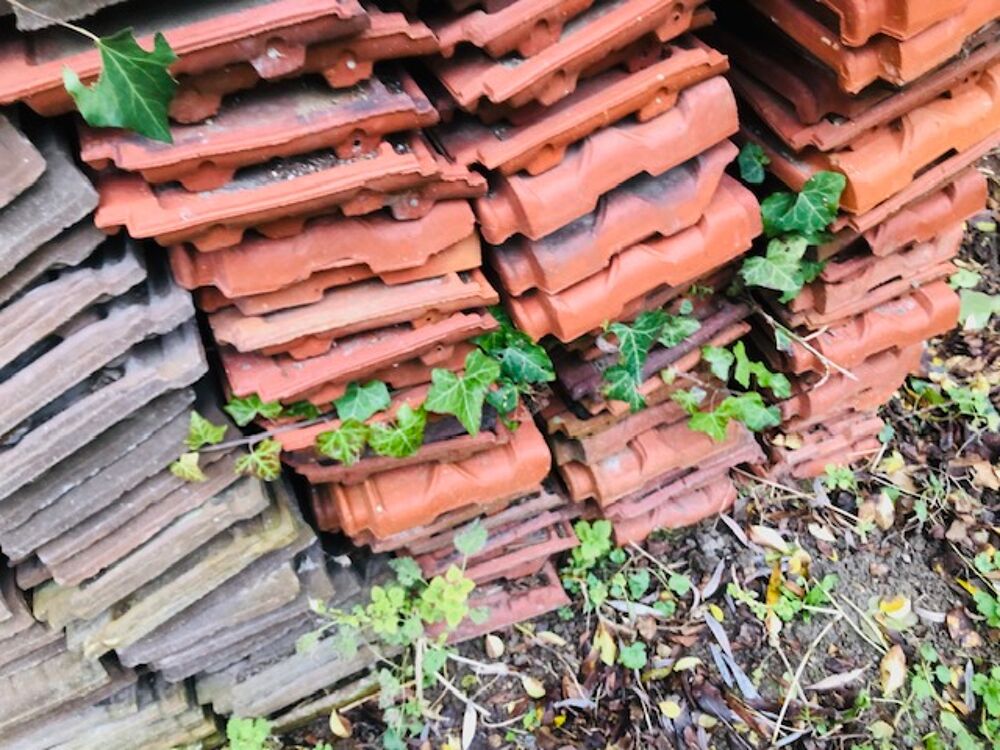  TUILES MECANIQUES
Jardin