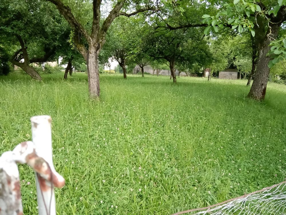 Vente Terrain Terrain Constructible Cenans