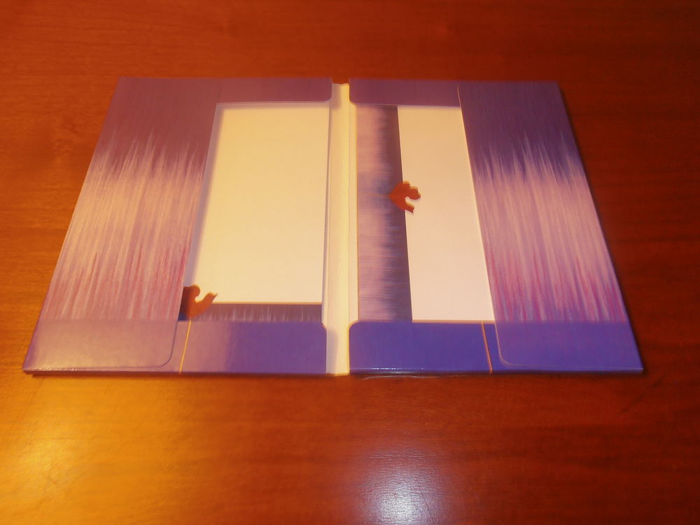 Cartes et enveloppes "fleurs rouges" (45) Livres et BD