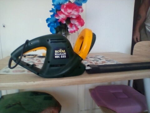 taille haie �lectrique 20 Dombasle-sur-Meurthe (54)