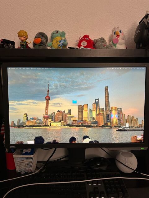 Écran gaming BenQ ZOWIE XL2411P 24 pouces 144 Hz + boîte Issy-les-Moulineaux (92)