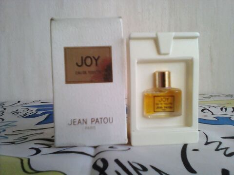 MINIATURE DE PARFUM 8 Trouy (18)
