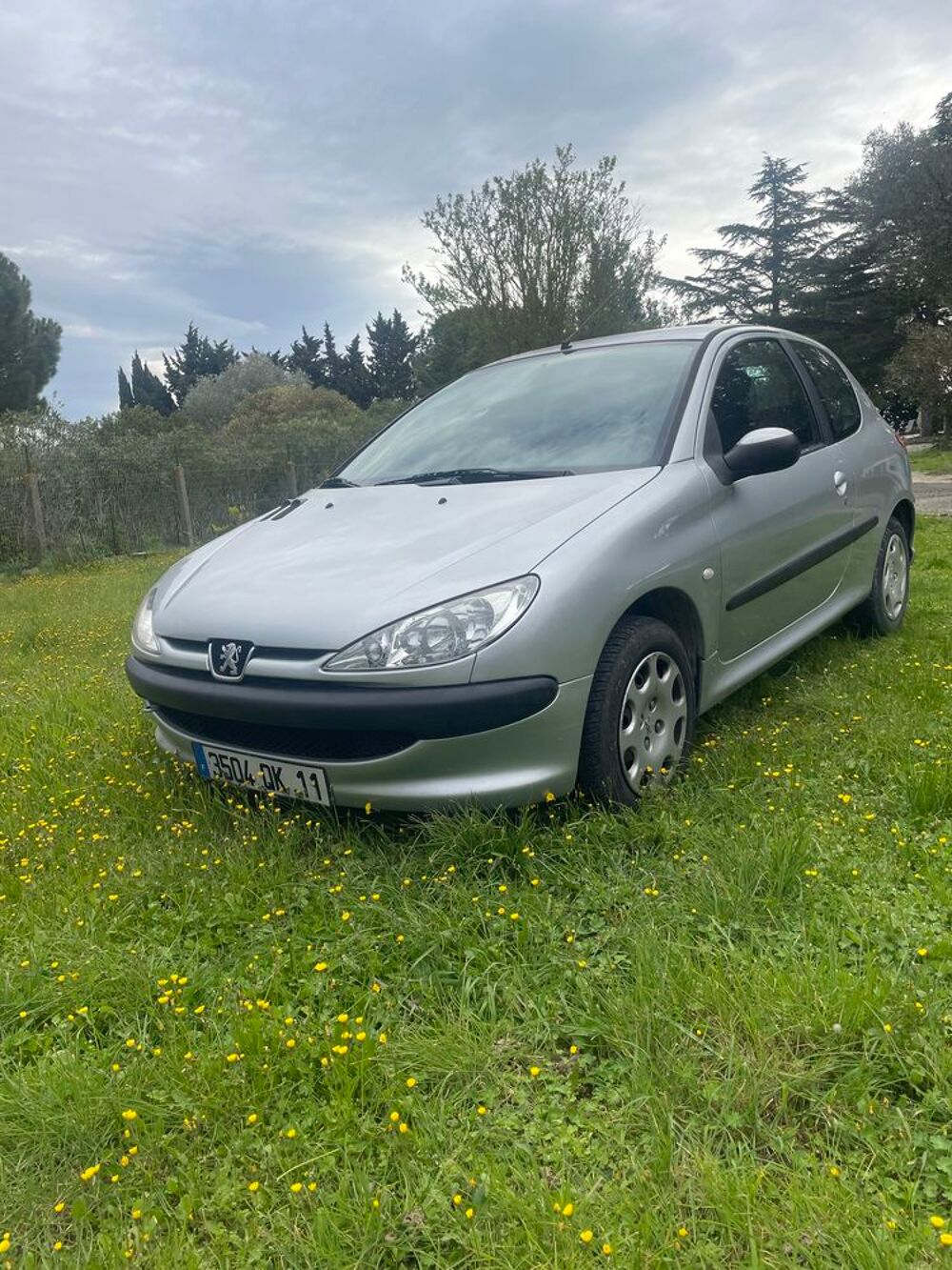 206 1.4i XR Pr&eacute;sence 2004 occasion 11000 Carcassonne
