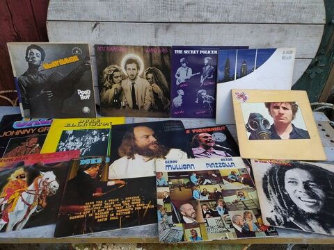 Disques Vinyles 33 Tours Rock, Blues, Jazz, etc... 
1 Loches (37)