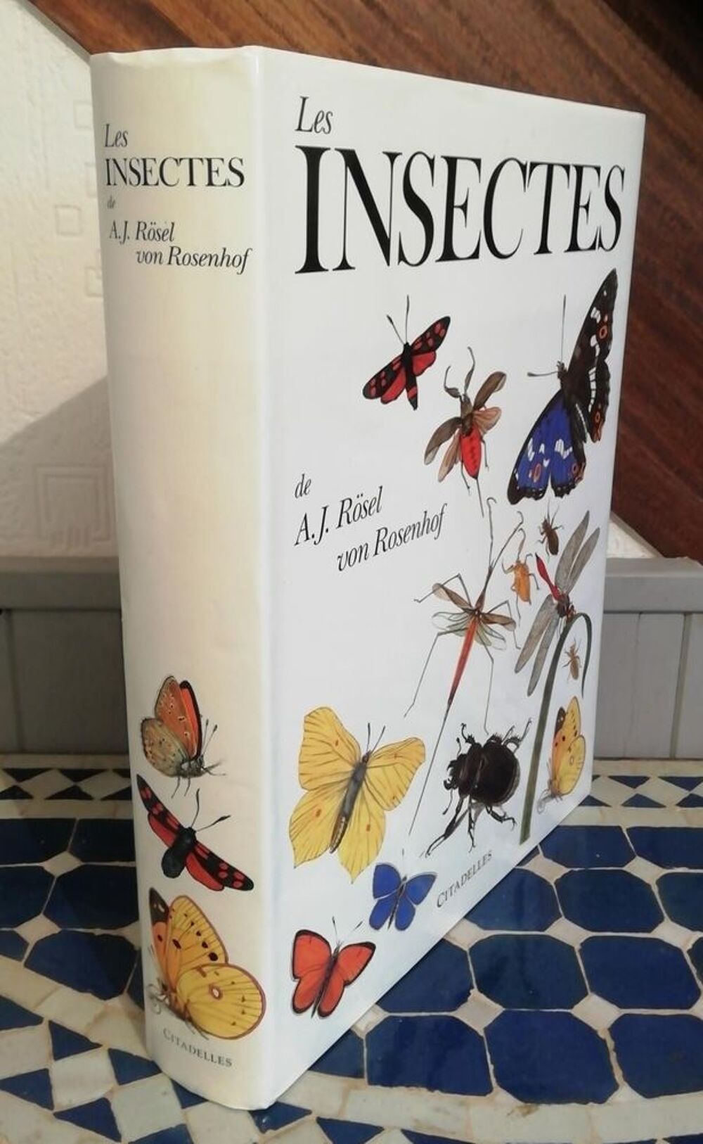 Livre &quot;Les Insectes&quot; Livres et BD