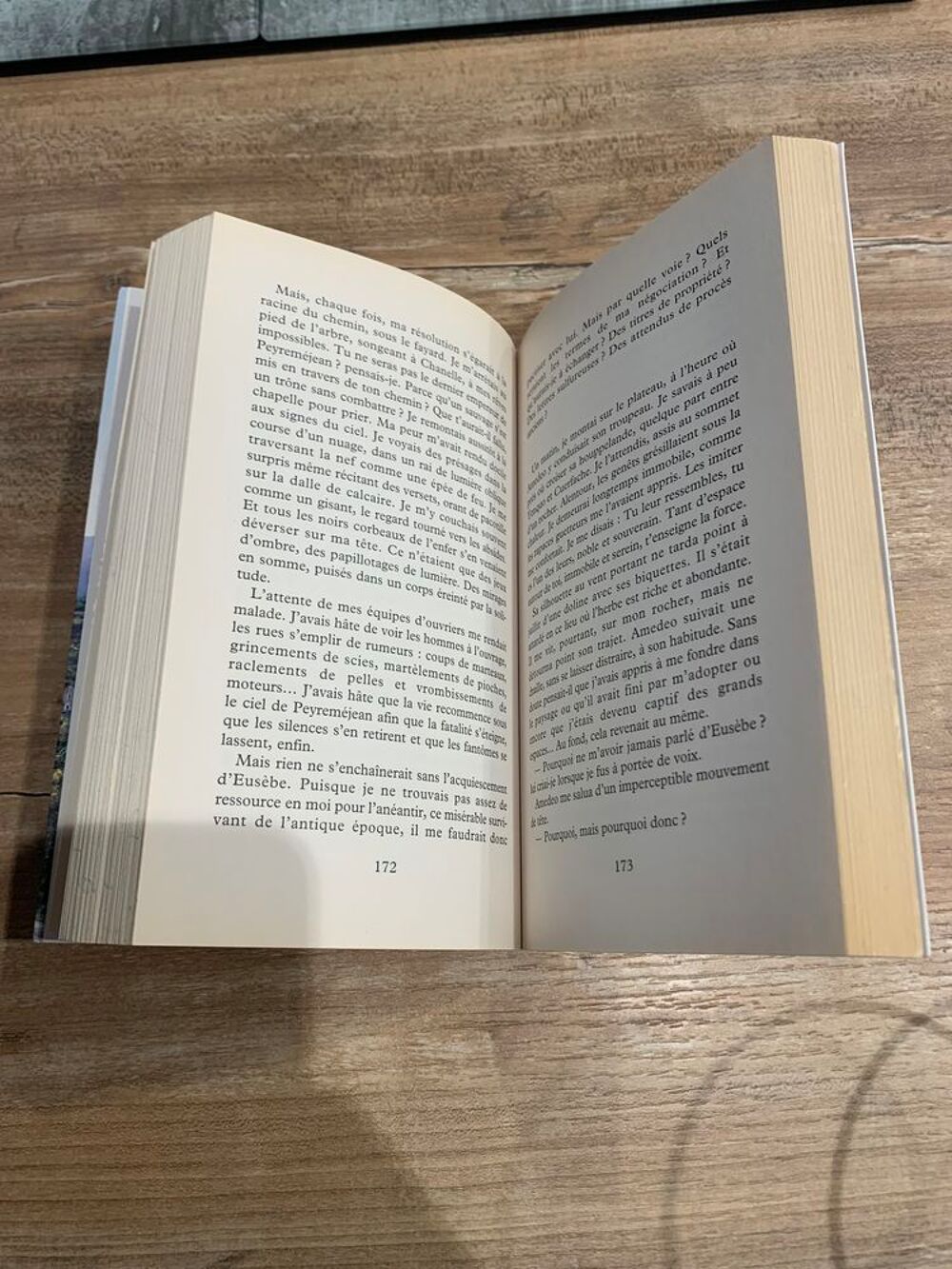 Livre roman " L' homme qui r&ecirc;vait d' un vill Livres et BD
