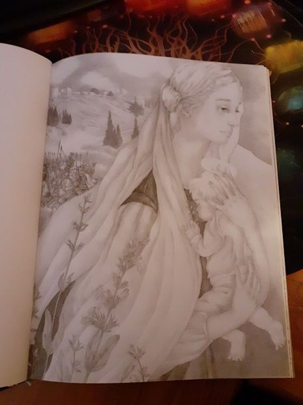 2 Livres de conte D'ANDERSEN belles illustrations Livres et BD