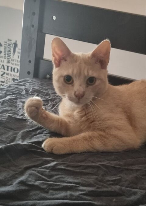 URBAN 210 60000 Beauvais