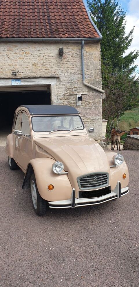 Citro&euml;n 2 CV - Dyane 2 CV 6 Special 1982 occasion Beaulieu 21510