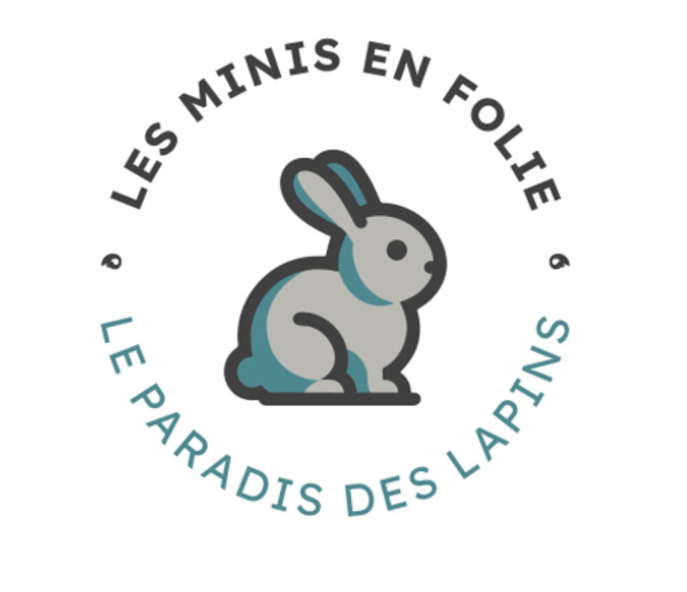   Divers lapin de tout ges et de toute race  