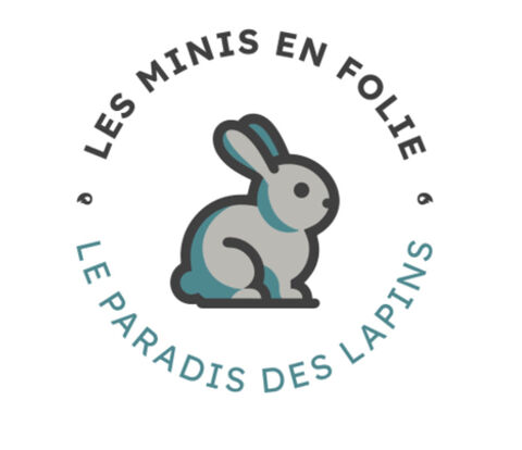 Divers lapin de tout âges et de toute race 10 59247 Fchain