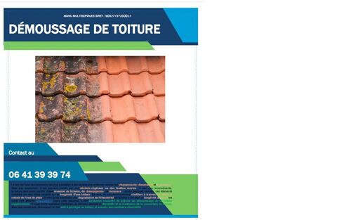 DEMOUSSAGE DE TOIT 0 21310 Mirebeau-sur-bze
