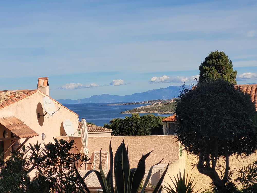   Haute Corse Marina de Sant Ambroggio  en Balagne :  Corse, Lumio (20260)