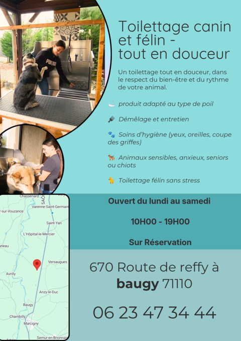 Toilettage canin et f&eacute;lin 0 71110 Baugy