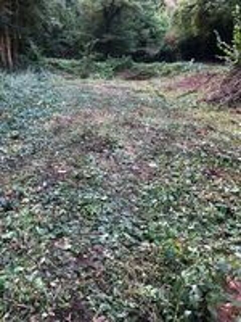   Pour animaux de ferme : PRTE GRATUITEMENT terrain 5000m2  