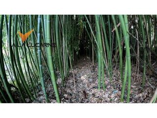  Maison � vendre 4 pi�ces 114 m�