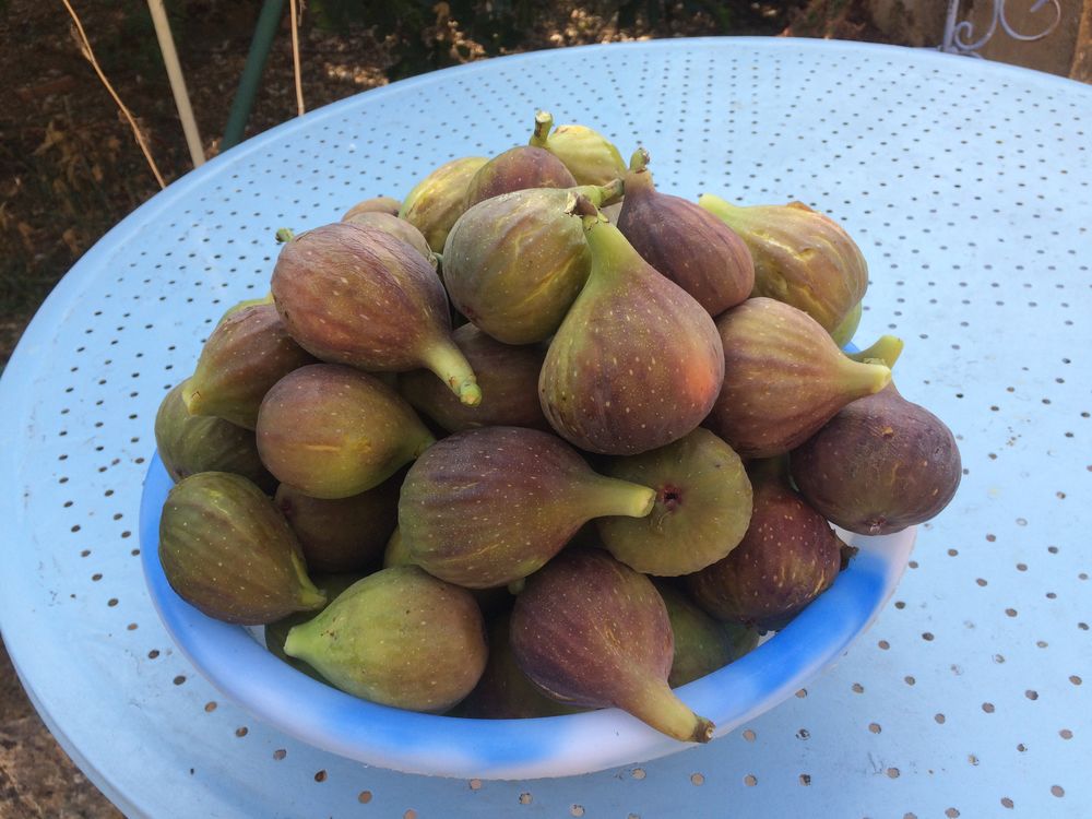 CONFITURE DE FIGUE- MIRABELLE - CERISE OU TOMATE VERTE BIO Cuisine