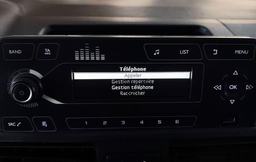 Berlingo BERLINGO VAN M 650 BLUEHDI 75 CONTROL 2019 occasion 34570 Vailhauqu&egrave;s