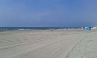 Location  Appartement 