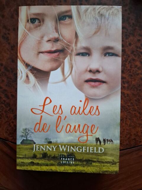 Les ailes de l'ange - Wingfield Jenny - 2010 - bon �tat 1 La Chapelle-Saint-Luc (10)