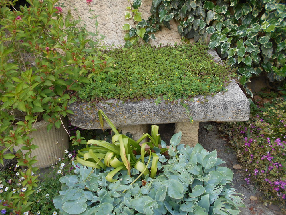 ancien grand &eacute;vier en pierre d&eacute;but 1900 Jardin