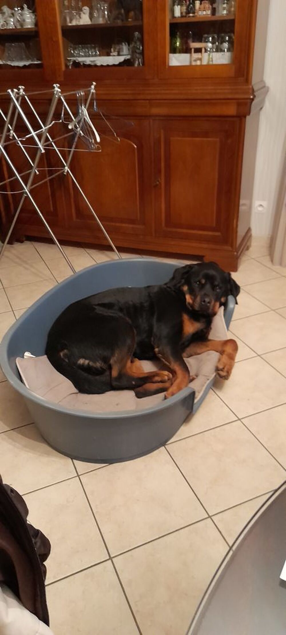   prends soin de nos amis les animaux 