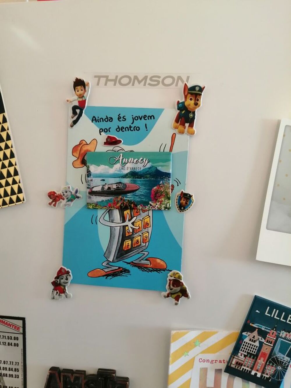Refrigerateur Thomson Electromnager