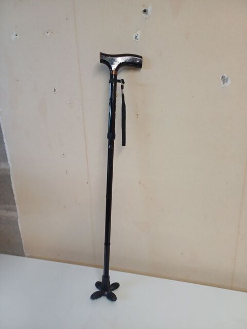 Canne de marche 15 Saint-Doulchard (18)