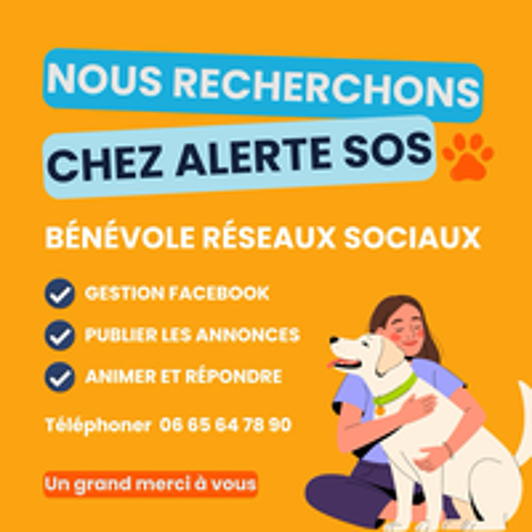  Annonce bénévole  